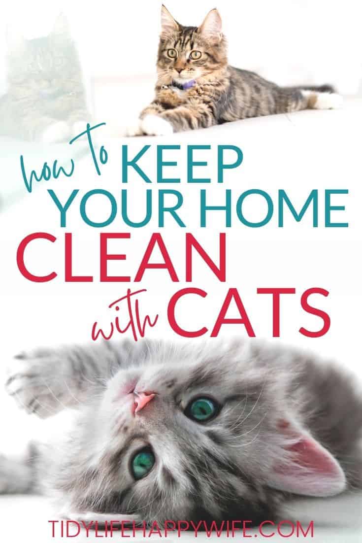 Keep Your Home Clean And Your Cat Comfy With This Waterproof - Temu