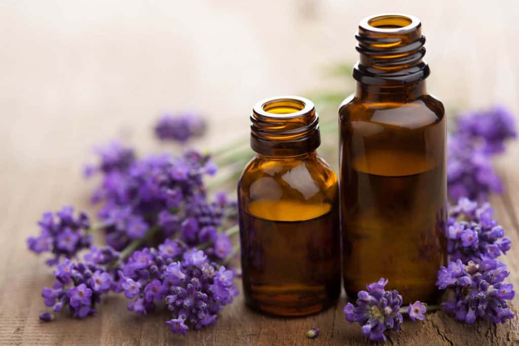 Lavender and 2 bottles of lavender oil