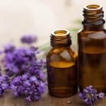 Lavender and 2 bottles of lavender oil