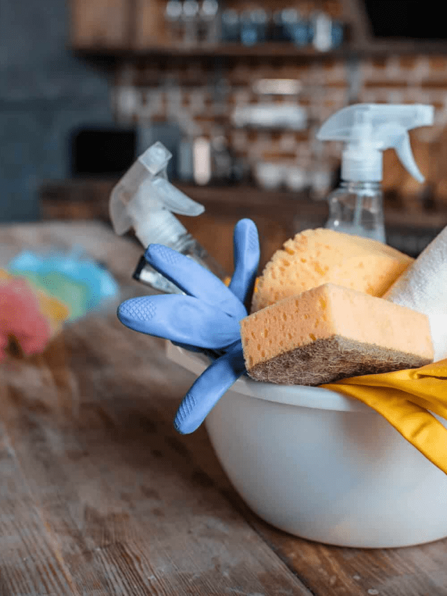 Silly Cleaning Mistakes You Need to Stop Making Story