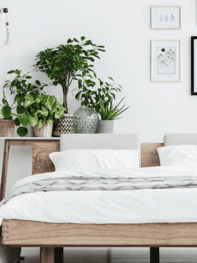 StepbyStep Bedroom Cleaning Checklist to Get That Clean Room Feel