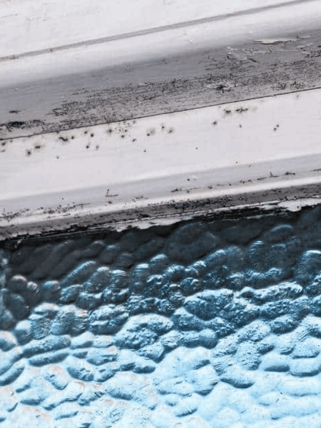 How to Clean Mold Off Windows and Prevent It From Coming Back Story