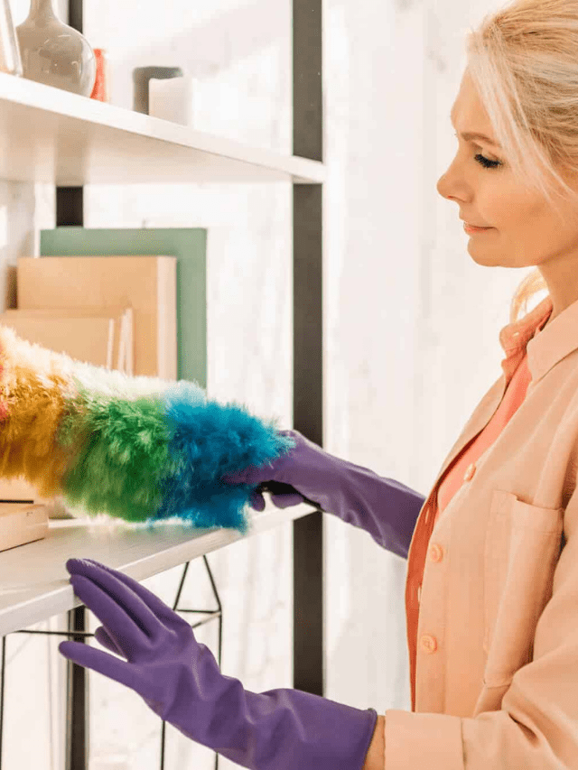 How To Speed Clean Your House When There’s NO Time for Anything Story