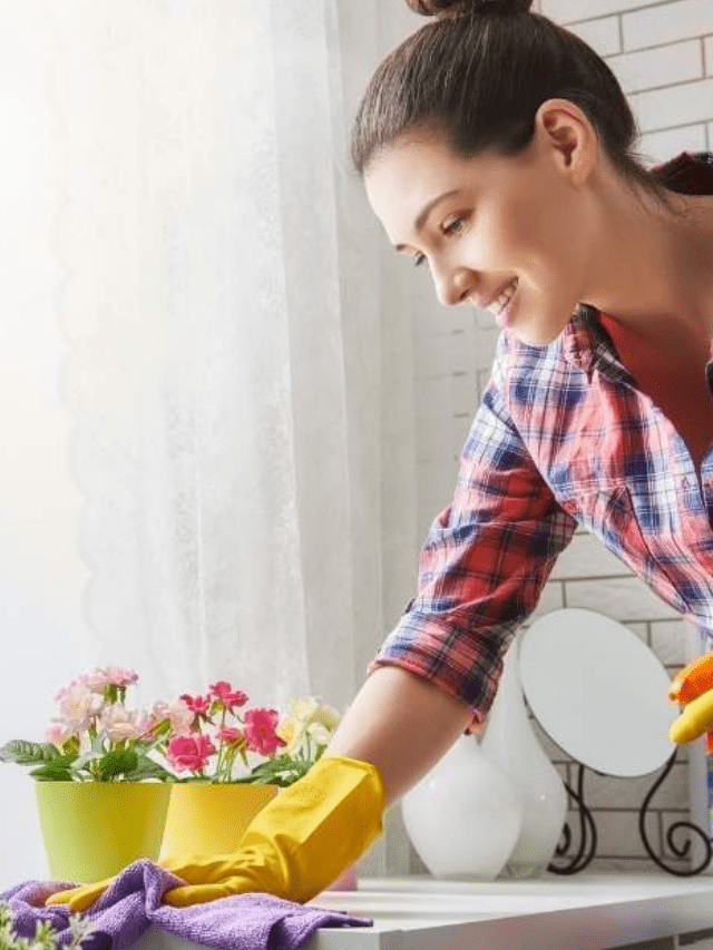 The 7 Best Ways to Dust Your Home because It Actually Does Matter! Story