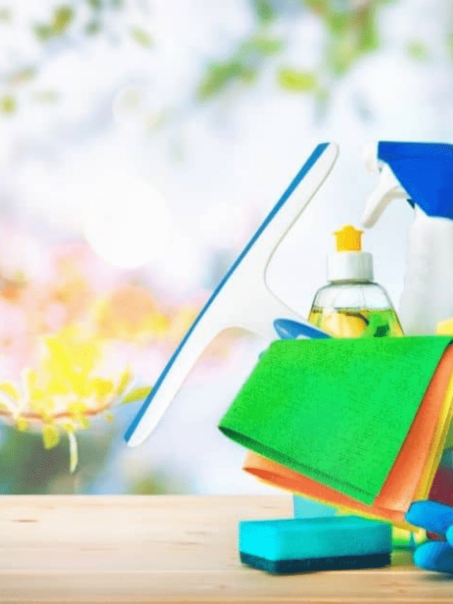 Spring Cleaning Checklist: How to Deep Clean Your Entire Home Story