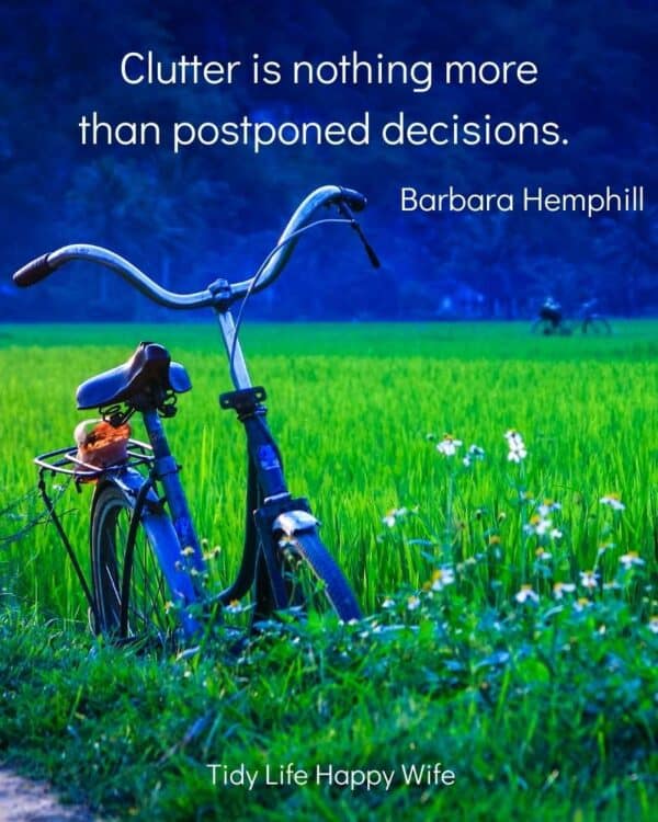 field of tall grass with an abandoned bicycle and the quote, Clutter is nothing more than postponed decisions. by Barbara Hemphill