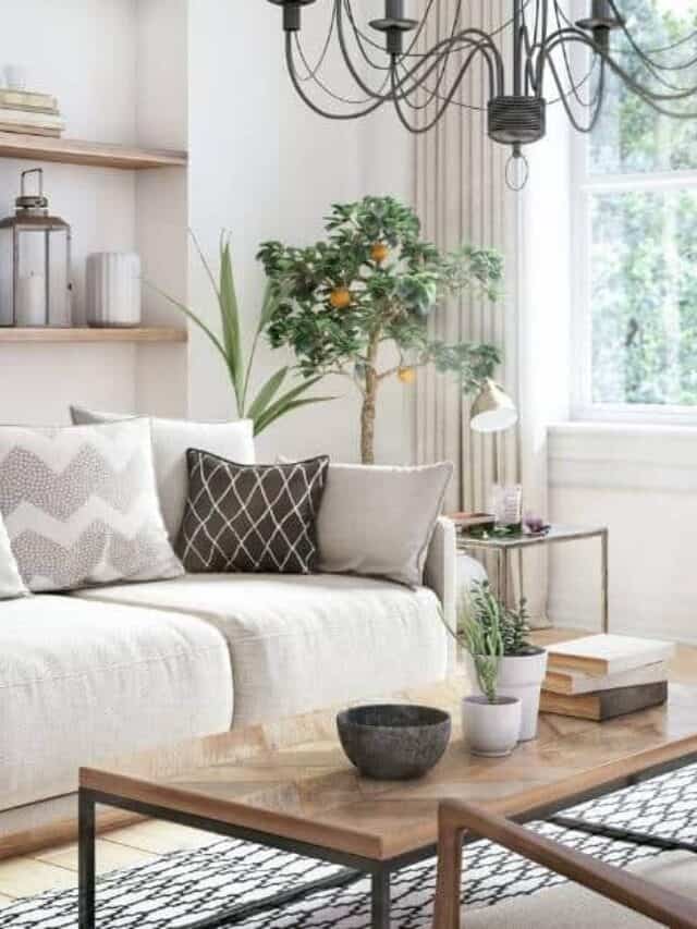 cropped-clean-and-tidy-living-room.jpg