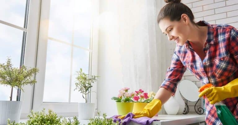 The 7 Best Ways to Dust Your Home: Yes, It Matters!