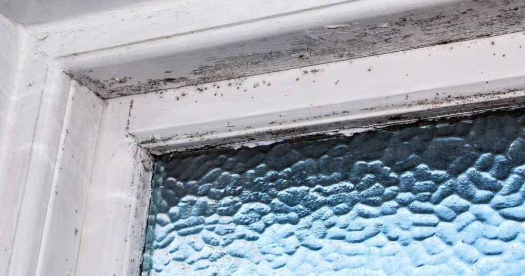 window with black spots of mold on window, frame, and surrounding area