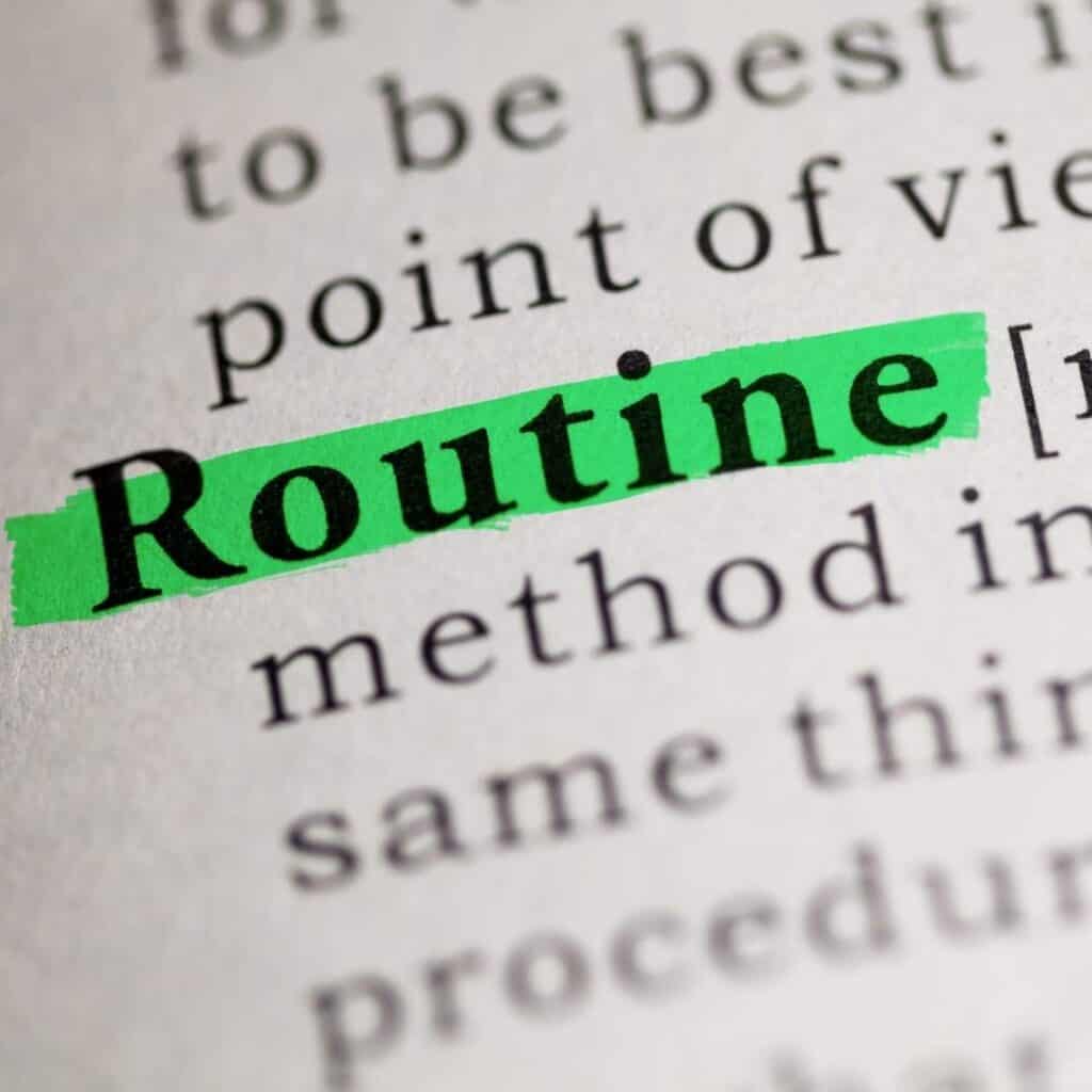 the word routine in a dictionary